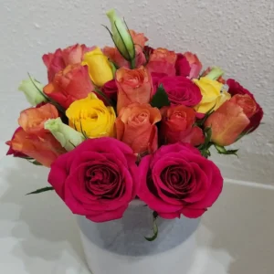 Mixed Roses