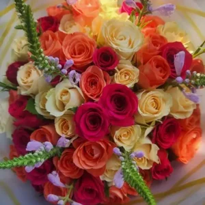 Mixed Roses
