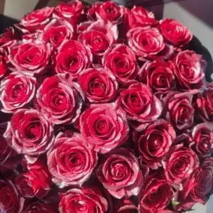 Red Roses with Glitter