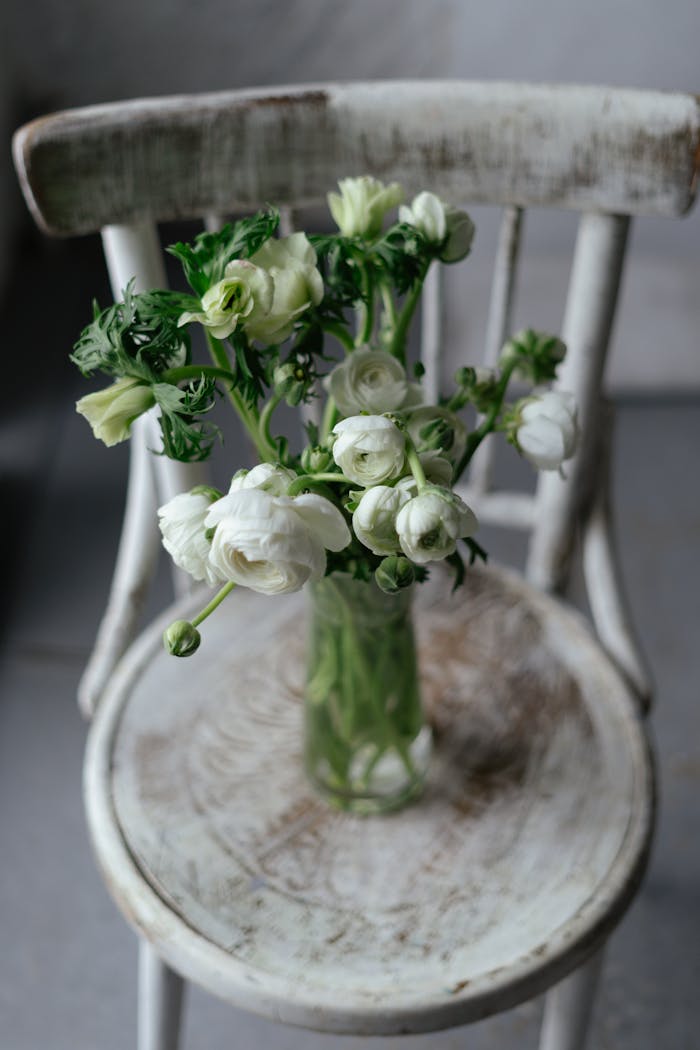 Mastering the First Impression: Your intriguing post title goes here Charming white ranunculus bouquet in a vase on a rustic wooden chair for a vintage feel.
