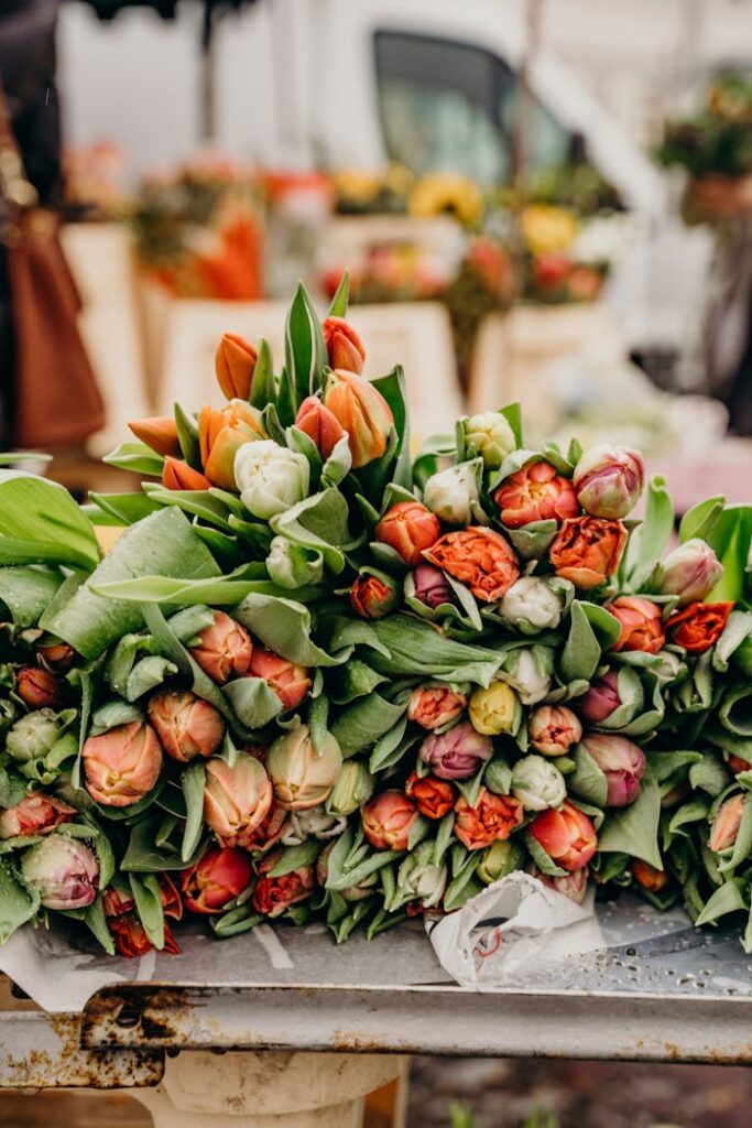 Vibrant tulip bouquets in Erfurt market, showcasing fresh flowers and lush green leaves.